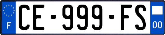 CE-999-FS