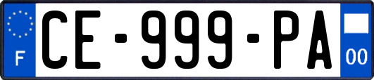 CE-999-PA