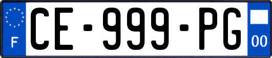 CE-999-PG