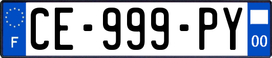 CE-999-PY