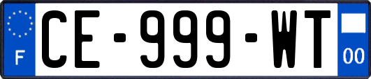 CE-999-WT