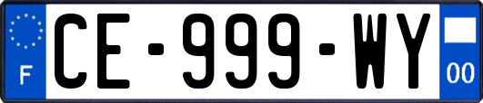 CE-999-WY