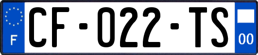 CF-022-TS