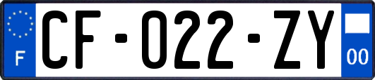 CF-022-ZY