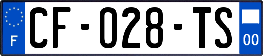 CF-028-TS