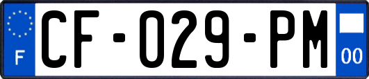 CF-029-PM