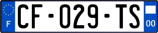 CF-029-TS