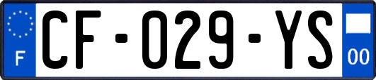 CF-029-YS