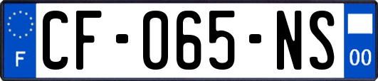 CF-065-NS