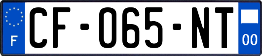 CF-065-NT