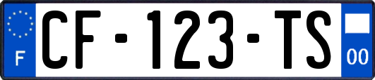 CF-123-TS