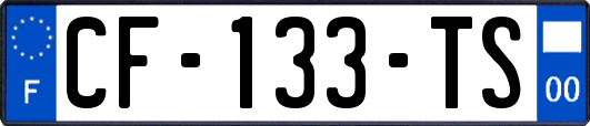 CF-133-TS