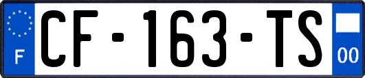 CF-163-TS