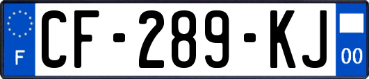 CF-289-KJ