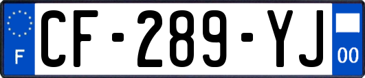 CF-289-YJ