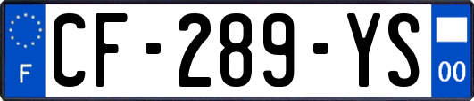 CF-289-YS