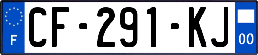 CF-291-KJ