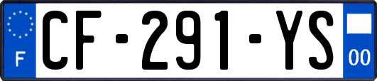 CF-291-YS
