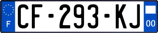 CF-293-KJ