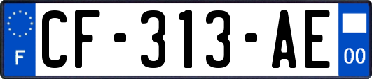 CF-313-AE