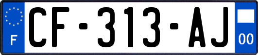 CF-313-AJ