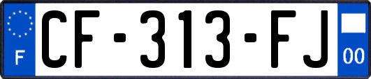 CF-313-FJ