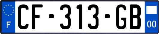 CF-313-GB