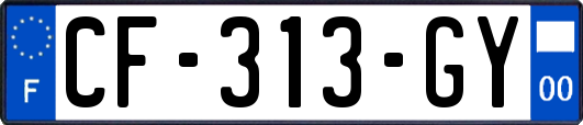 CF-313-GY