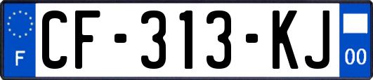 CF-313-KJ