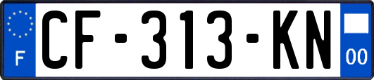 CF-313-KN