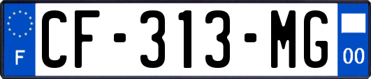 CF-313-MG