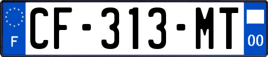CF-313-MT