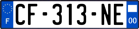 CF-313-NE