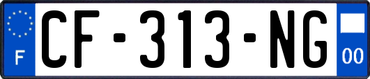 CF-313-NG