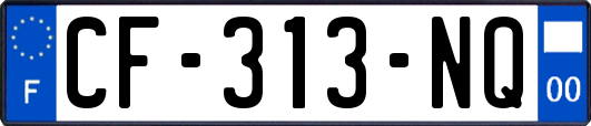 CF-313-NQ