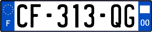 CF-313-QG