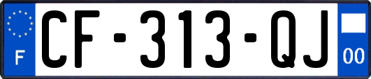 CF-313-QJ