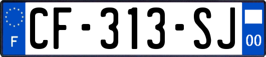 CF-313-SJ