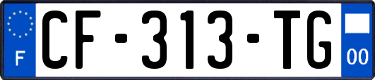 CF-313-TG