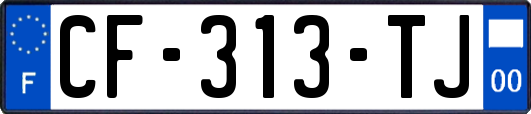 CF-313-TJ