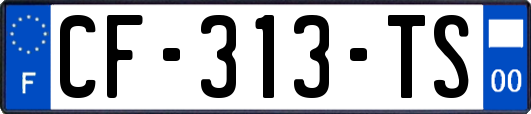 CF-313-TS