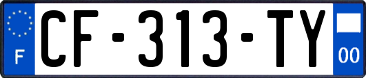 CF-313-TY