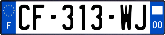 CF-313-WJ