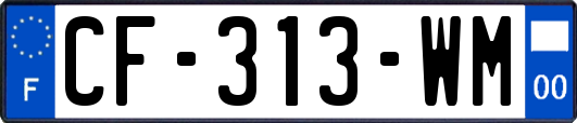 CF-313-WM