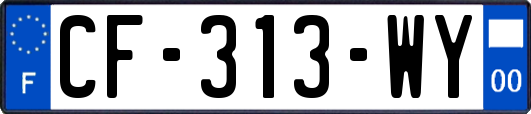 CF-313-WY