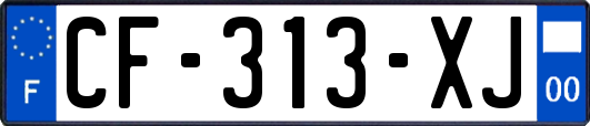 CF-313-XJ