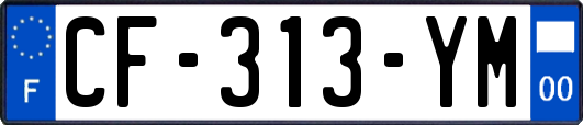 CF-313-YM