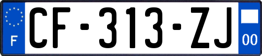 CF-313-ZJ