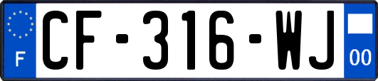 CF-316-WJ