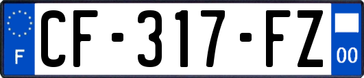CF-317-FZ